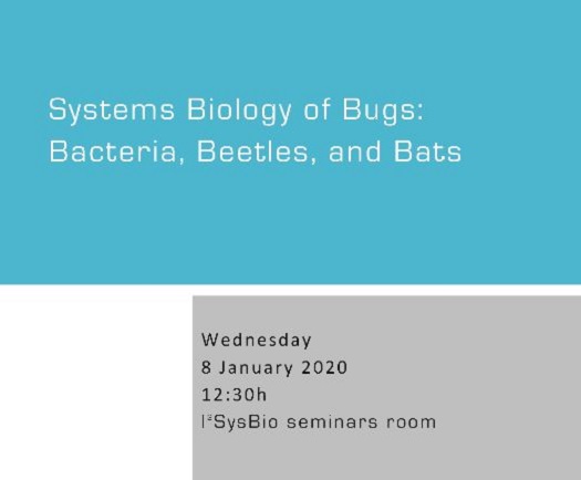 Systems Biology of Bugs: Bacteria, Beetles, and Bats